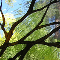 Stained Glass Branches Lake Tahoe